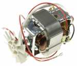 Motor - 7322010644 Ics [Delonghi]