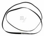 Poly v belt - 7ph1914 1040756 Belt [Amica]