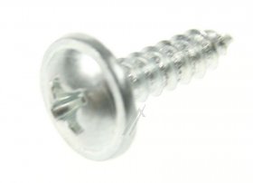 Shaft - 4055075222 Pin Hinge [Electrolux Aeg]